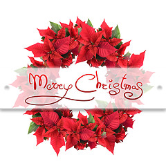 Image showing christmas wreath from poinsettia