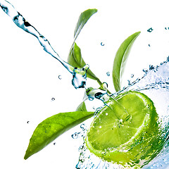 Image showing water drops on lime with green leaves isolated on white