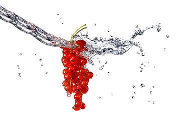 Image showing redcurrant and water drops isolated on white