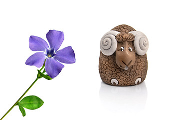 Image showing funny lamb looking at violet spring flower