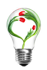 Image showing Natural energy concept. Light bulb with tulips with shape of hea