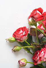 Image showing red rose bouquet on white