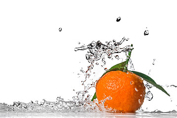 Image showing Tangerine with green leaves and water splash isolated on white