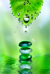 Image showing balancing spa shiny stones with leaf and water drops on light ba