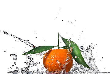 Image showing Tangerine with green leaves and water splash isolated on white