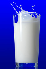 Image showing Milk splash isolated on blue