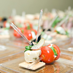 Image showing appetizer from tomato and cheese