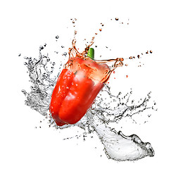 Image showing fresh water splash on red pepper isolated on white