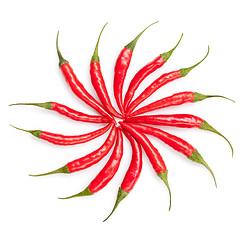 Image showing sun from chili peppers isolated on white 