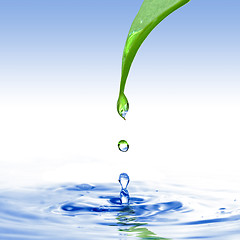 Image showing green leaf with water drop ans splash isolated o white