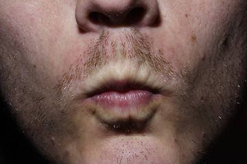 Image showing Lip