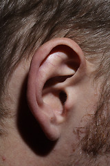 Image showing Ear