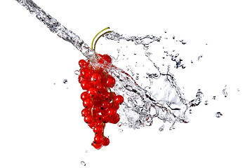 Image showing redcurrant and water drops isolated on white