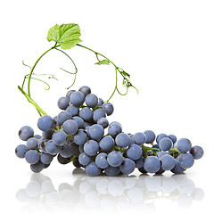 Image showing blue grape with green leaf isolated on white