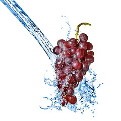 Image showing blue grape with water splash isolated on white