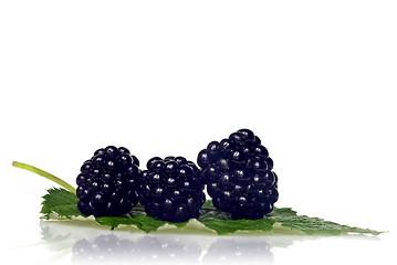 Image showing blackberry with green leaf isolated on white 