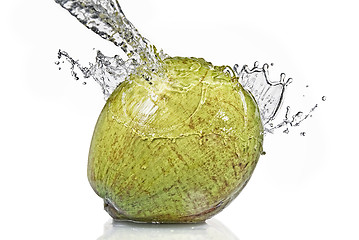 Image showing fresh water splash on coconut isolated on white