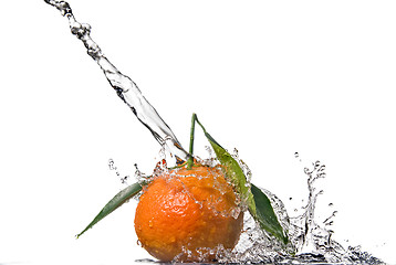 Image showing Tangerine with green leaves and water splash isolated on white