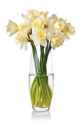 Image showing bouquet from white narcissus in vase isolated