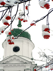 Image showing Brunches of ashberry in snow against the church