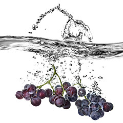 Image showing blue grape dropped into water with splash isolated on white