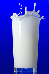 Image showing Milk splash isolated on blue