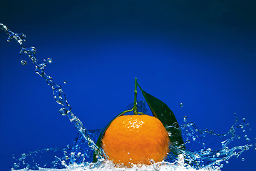 Image showing Tangerine with green leaves and water splash on blue background