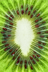 Image showing macro photo of kiwi