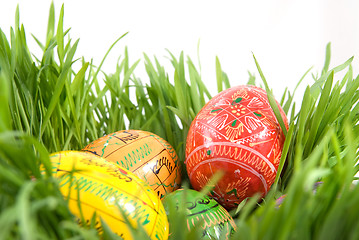 Image showing color easter eggs in nest from green grass on white