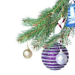 Image showing Christmas balls and decoration on fir tree branch isolated on wh