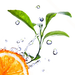 Image showing water drops on orange with green leaves isolated on white