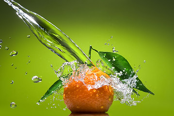 Image showing Tangerine with green leaves and water splash on green background