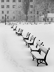 Image showing Benches in snow