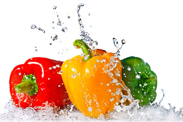 Image showing red, yellow and green pepper with water splash isolated on white