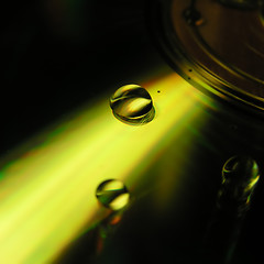 Image showing Water drops