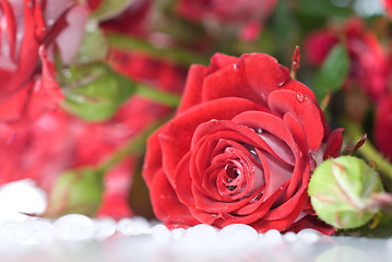 Image showing red rose bouquet