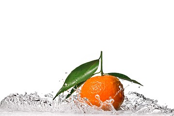 Image showing Tangerine with green leaves and water splash isolated on white