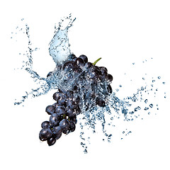 Image showing blue grape with water splash isolated on white