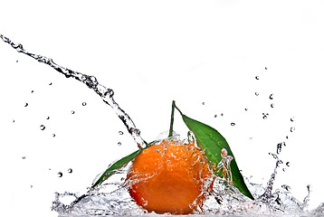 Image showing Tangerine with green leaves and water splash isolated on white