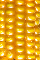 Image showing macro photo of yellow corn