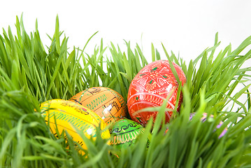 Image showing color easter eggs in nest from green grass on white