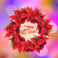 Image showing christmas wreath from poinsettia on color light background