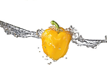 Image showing fresh water splash on yellow sweet pepper isolated on white