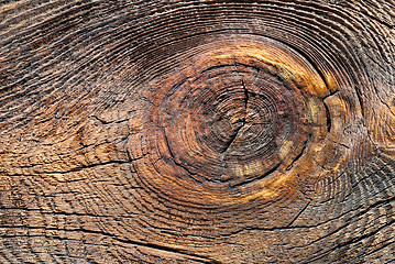 Image showing wood texture