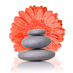 Image showing Spa stones with red gerbera isolated on white