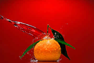 Image showing Tangerine with green leaves and water splash on red background