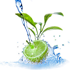 Image showing water drops on lime with green leaves isolated on white