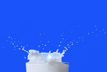 Image showing Milk splash isolated on blue