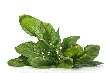 Image showing green spinach isolated on white