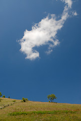 Image showing summer mountains landscape with lonesome cloud